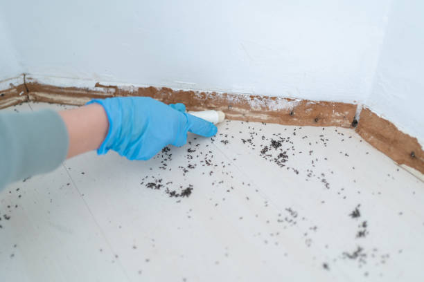 Best Residential Pest Control  in Marinette, WI